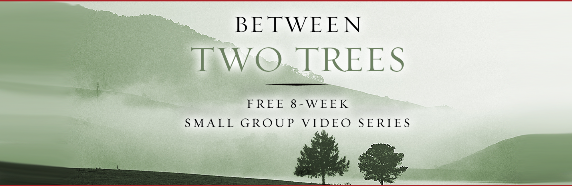 Between Two Trees: Small Group Video Series